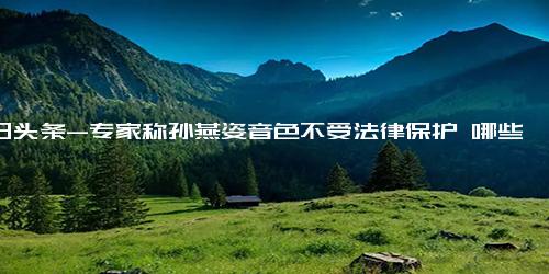 今日头条-专家称孙燕姿音色不受法律保护 哪些情况下可能涉及侵权？